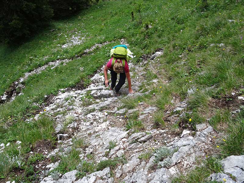 Buchbergkogel